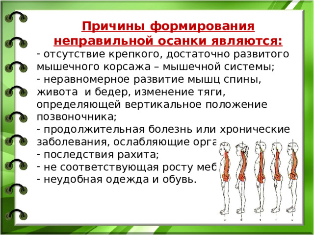 Причины формирования неправильной осанки являются:  отсутствие крепкого, достаточно развитого мышечного корсажа – мышечной системы;  неравномерное развитие мышц спины, живота и бедер, изменение тяги, определяющей вертикальное положение позвоночника;  продолжительная болезнь или хронические заболевания, ослабляющие организм;  последствия рахита;  не соответствующая росту мебель;  неудобная одежда и обувь. 