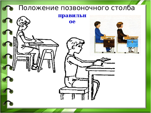 Положение позвоночного столба правильное 