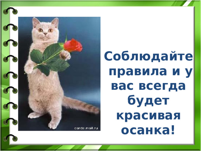 Соблюдайте правила и у вас всегда будет красивая осанка! 