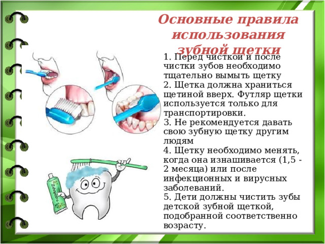 Основные правила использования зубной щетки 1. Перед чисткой и после чистки зубов необходимо тщательно вымыть щетку  2. Щетка должна храниться щетиной вверх. Футляр щетки используется только для транспортировки.  3. Не рекомендуется давать свою зубную щетку другим людям  4. Щетку необходимо менять, когда она изнашивается (1,5 - 2 месяца) или после инфекционных и вирусных заболеваний.  5. Дети должны чистить зубы детской зубной щеткой, подобранной соответственно возрасту. 
