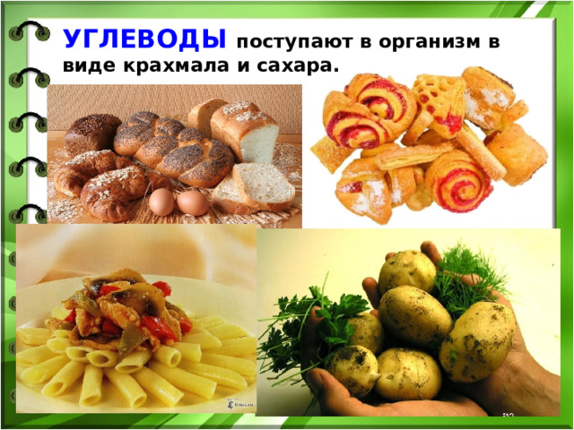 УГЛЕВОДЫ поступают в организм в виде крахмала и сахара. 