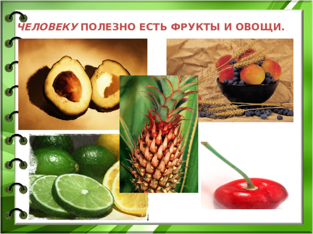 ЧЕЛОВЕКУ ПОЛЕЗНО ЕСТЬ ФРУКТЫ И ОВОЩИ. 