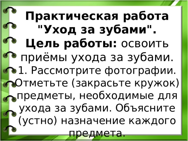 Практическая работа 