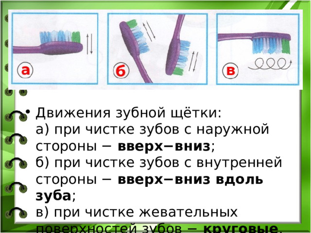 Движения зубной щётки:  а) при чистке зубов с наружной стороны −  вверх−вниз ;  б) при чистке зубов с внутренней стороны −  вверх−вниз вдоль зуба ;  в) при чистке жевательных поверхностей зубов −  круговые . 