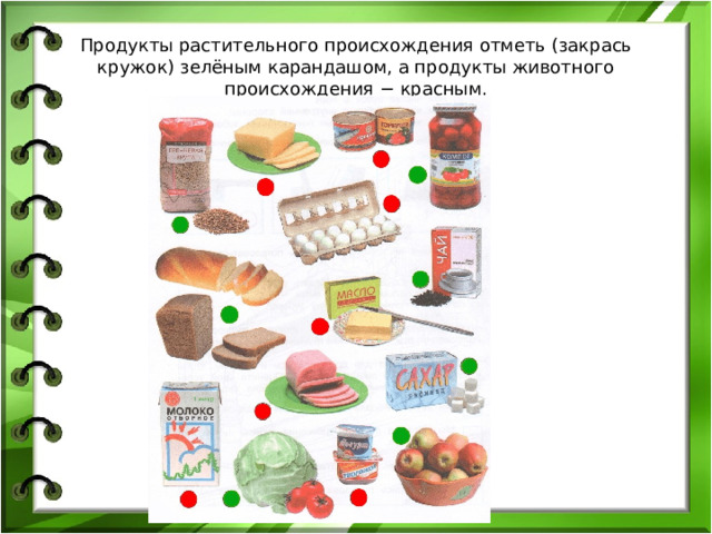 Продукты растительного происхождения отметь (закрась кружок) зелёным карандашом, а продукты животного происхождения − красным. 