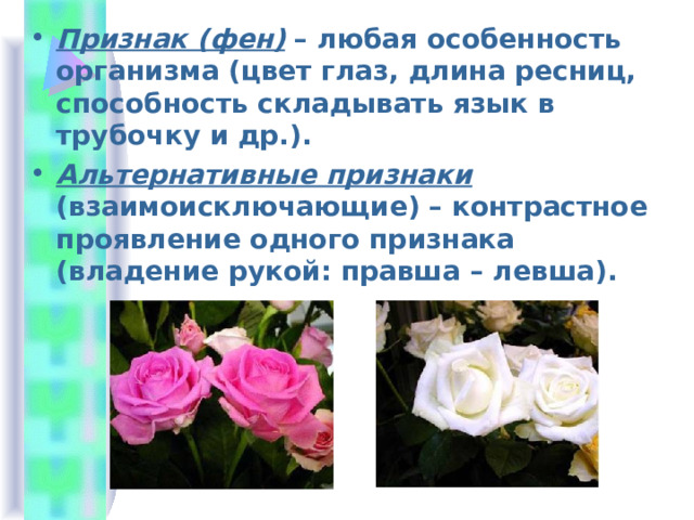 Признак (фен) – любая особенность организма (цвет глаз, длина ресниц, способность складывать язык в трубочку и др.). Альтернативные признаки  ( взаимоисключающие)  – контрастное проявление одного признака (владение рукой: правша – левша). 