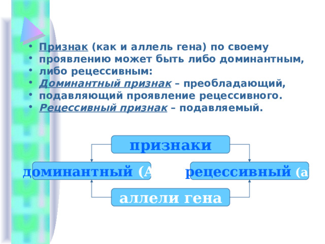Признак (как и аллель гена) по своему проявлению может быть либо доминантным, либо рецессивным: Доминантный признак – преобладающий, подавляющий проявление рецессивного. Рецессивный признак – подавляемый.  признаки доминантный  (A) рецессивный  (a) аллели гена 
