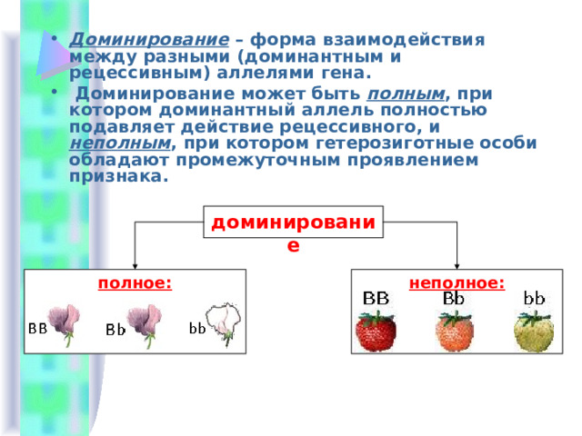 Доминирование – форма взаимодействия между разными (доминантным и рецессивным) аллелями гена.  Доминирование может быть полным , при котором доминантный аллель полностью подавляет действие рецессивного, и неполным , при котором гетерозиготные особи обладают промежуточным проявлением признака.   доминирование   полное: неполное:         