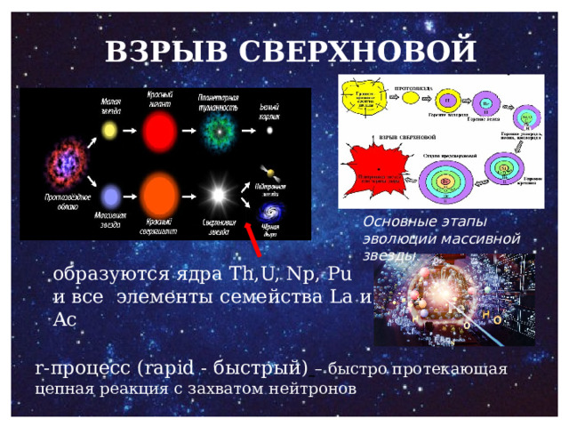 ВЗРЫВ СВЕРХНОВОЙ Основные этапы эволюции массивной звезды образуются ядра Th,U, Np, Pu и все элементы семейства La и Ac   r-процесс (rapid - быстрый)  – быстро протекающая цепная реакция с захватом нейтронов 