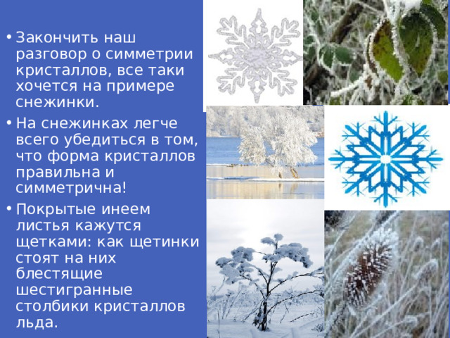 Закончить наш разговор о симметрии кристаллов, все таки хочется на примере снежинки. На снежинках легче всего убедиться в том, что форма кристаллов правильна и симметрична! Покрытые инеем листья кажутся щетками: как щетинки стоят на них блестящие шестигранные столбики кристаллов льда.
