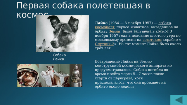 Первая собака полетевшая в космос Лайка  (1954 — 3 ноября 1957) —  собака - космонавт , первое животное, выведенное на  орбиту   Земли . Была запущена в космос 3 ноября 1957 года в половине шестого утра по московскому времени на  советском  корабле « Спутник-2 ». На тот момент Лайке было около трёх лет. Собака Лайка Возвращение Лайки на Землю конструкцией космического аппарата не предусматривалось. Собака погибла во время полёта через 5—7 часов после старта от перегрева, хотя предполагалось, что она проживёт на орбите около недели 