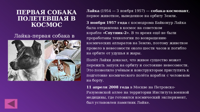 Лайка  (1954 — 3 ноября 1957) —  собака-космонавт , первое животное, выведенное на орбиту Земли. 3 ноября 1957 года  с космодрома Байконур Лайка была отправлена в космос на советском корабле  «Спутник-2» . В то время ещё не были проработаны технологии по возвращению космических аппаратов на Землю, поэтому животное провело в невесомости около шести часов и погибло на орбите от удушья и жары. Полёт Лайки доказал, что живое существо может пережить запуск на орбиту и состояние невесомости. Это позволило учёным и конструкторам приступить к подготовке космического полёта корабля с человеком на борту. 11 апреля 2008 года  в Москве на Петровско-Разумовской аллее на территории Института военной медицины, где готовился космический эксперимент, был установлен памятник Лайке. Первая собака полетевшая в космос Лайка-первая собака в космосе 