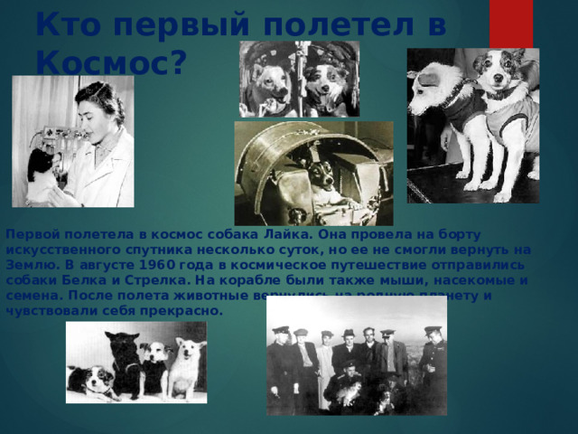 Кто первый полетел в Космос?  Первой полетела в космос собака Лайка. Она провела на борту искусственного спутника несколько суток, но ее не смогли вернуть на Землю. В августе 1960 года в космическое путешествие отправились собаки Белка и Стрелка. На корабле были также мыши, насекомые и семена. После полета животные вернулись на родную планету и чувствовали себя прекрасно. 