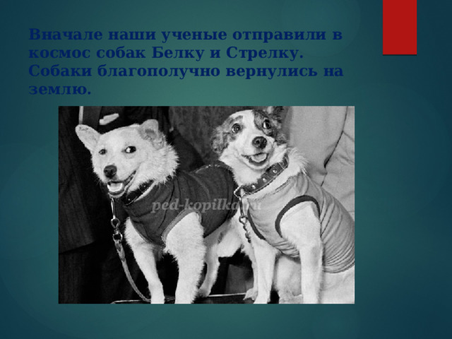 Вначале наши ученые отправили в космос собак Белку и Стрелку. Собаки благополучно вернулись на землю.  