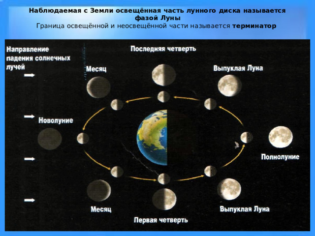  Наблюдаемая с Земли освещённая часть лунного диска называется фазой Луны  Граница освещённой и неосвещённой части называется терминатор 