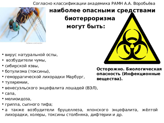  Согласно классификации академика РАМН А.А. Воробьёва  наиболее опасными средствами  биотерроризма  могут быть: вирус натуральной оспы,  возбудители чумы, сибирской язвы, ботулизма (токсины), геморрагической лихорадки Марбург, туляремии, венесуэльского энцефалита лошадей (ВЭЛ), сапа, мелиоидоза, гриппа, сыпного тифа; а также возбудители бруцеллеза, японского энцефалита, жёлтой лихорадки, холеры, токсины столбняка, дифтерии и др. Осторожно. Биологическая опасность (Инфекционные вещества). 