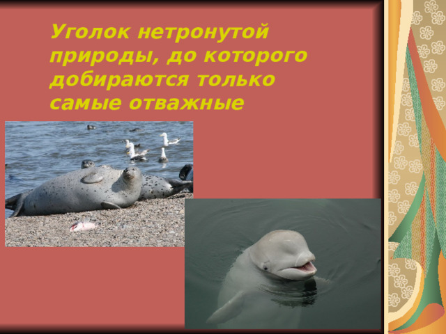 Уголок нетронутой природы, до которого добираются только самые отважные 