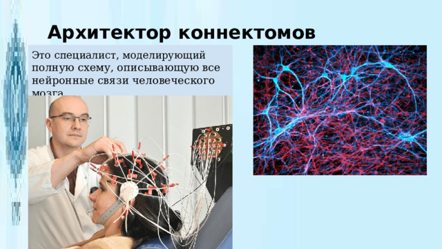Архитектор коннектомов Это специалист, моделирующий полную схему, описывающую все нейронные связи человеческого мозга. . 