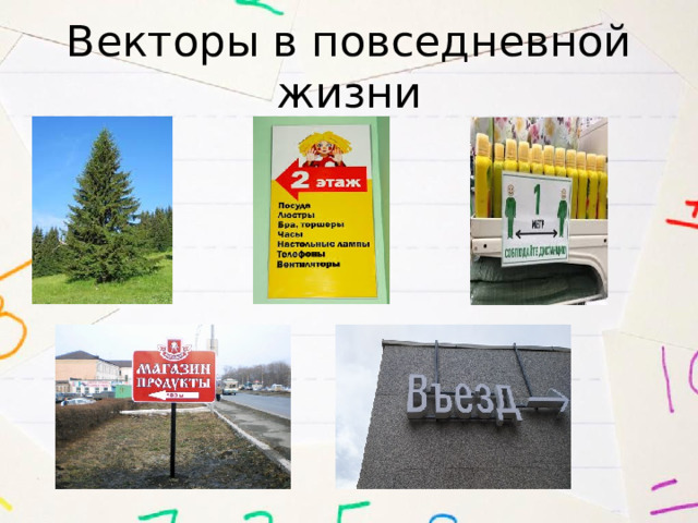 Векторы в повседневной жизни 