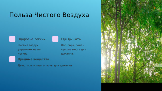  Польза Чистого Воздуха Здоровье легких Где дышать Чистый воздух укрепляет наши легкие. Лес, парк, поле – лучшие места для дыхания. Вредные вещества Дым, пыль и газы опасны для дыхания. 