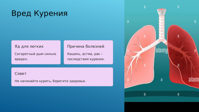  Вред Курения Яд для легких Причина болезней Сигаретный дым сильно вреден. Кашель, астма, рак – последствия курения. Совет Не начинайте курить, берегите здоровье. 