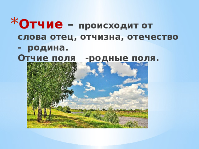 Отчие – происходит от слова отец, отчизна, отечество - родина.  Отчие поля -родные поля. 