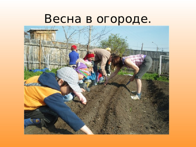 Весна в огороде. 