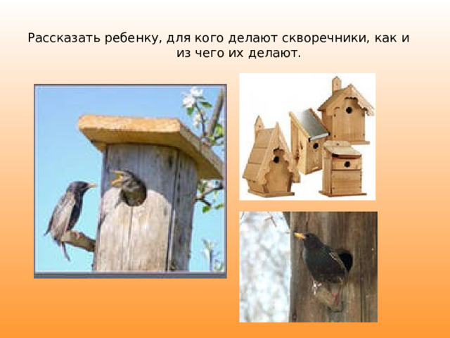 Рассказать ребенку, для кого делают скворечники, как и из чего их делают. 