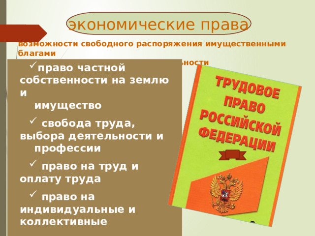 экономические права возможности свободного распоряжения имущественными благами  и ведением хозяйственной деятельности право частной собственности на землю и  имущество  свобода труда, выбора деятельности и  профессии  право на труд и оплату труда  право на индивидуальные и коллективные трудовые споры право на жилище 