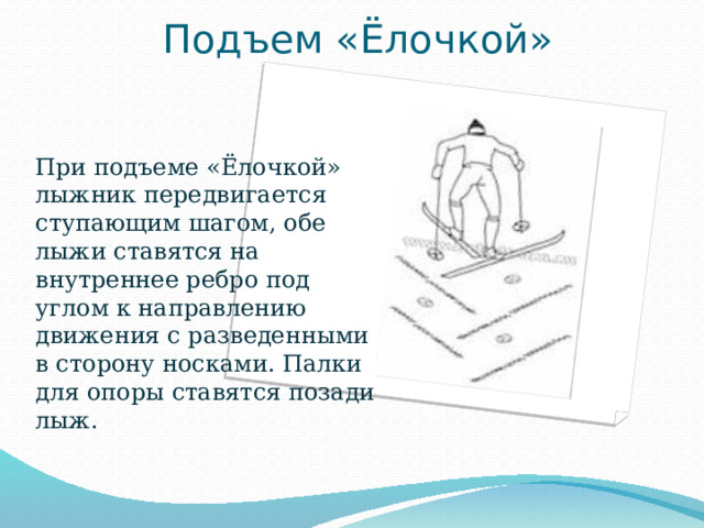 Подъем «Ёлочкой» Вставка рисунка При подъеме «Ёлочкой» лыжник передвигается ступающим шагом, обе лыжи ставятся на внутреннее ребро под углом к направлению движения с разведенными в сторону носками. Палки для опоры ставятся позади лыж. 
