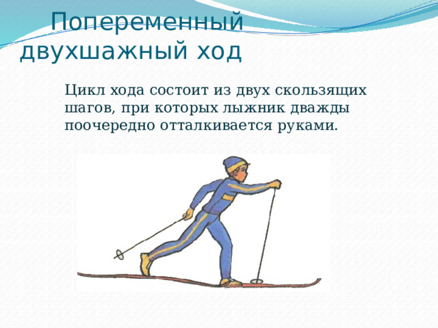  Попеременный двухшажный ход  Цикл хода состоит из двух скользящих шагов, при которых лыжник дважды поочередно отталкивается руками. 