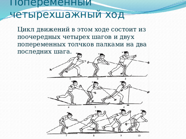 Попеременный четырехшажный ход Цикл движений в этом ходе состоит из поочередных четырех шагов и двух попеременных толчков палками на два последних шага. 