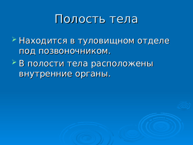 Полость тела Находится в туловищном отделе под позвоночником. В полости тела расположены внутренние органы. 