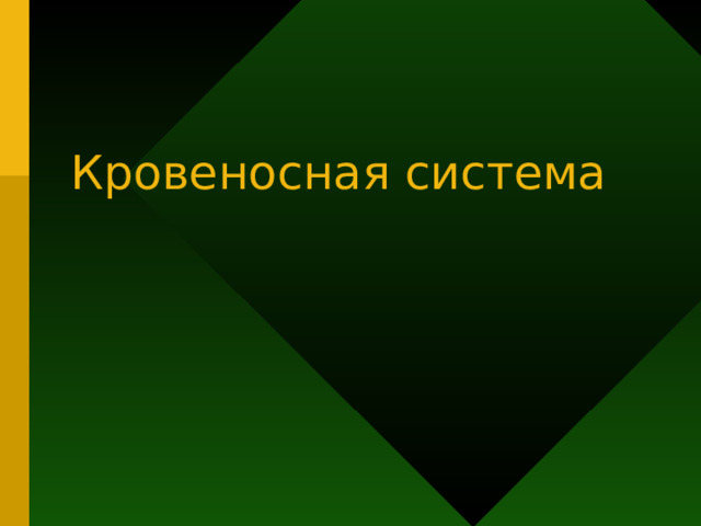 Кровеносная система 