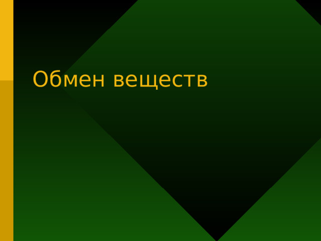 Обмен веществ 