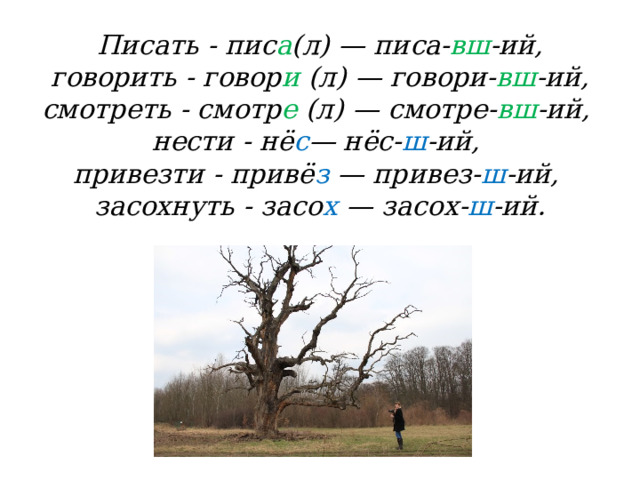 Писать - пис а (л) — писа- вш -ий,  говорить - говор и (л) — говори- вш -ий,  смотреть - смотр е (л) — смотре- вш -ий,  нести - нё с — нёс- ш -ий,  привезти - привё з — привез- ш -ий,  засохнуть - засо х — засох- ш -ий.   