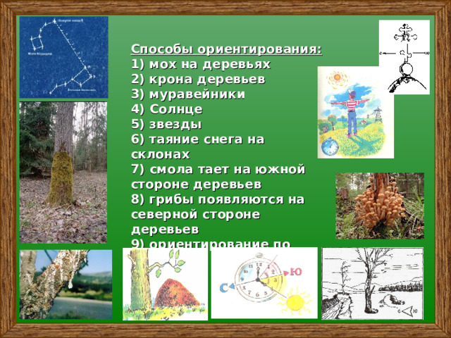  Способы ориентирования:  1) мох на деревьях  2) крона деревьев  3) муравейники  4)  Солнце  5) звезды  6) таяние снега на склонах  7 ) смола тает на южной стороне деревьев  8) грибы появляются на северной стороне деревьев  9) ориентирование по компасу   