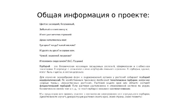 Общая информация о проекте: 