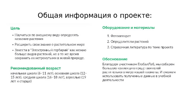 Общая информация о проекте: 