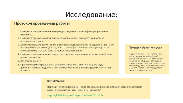 Исследование: 