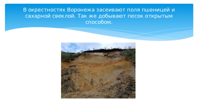 В окрестностях Воронежа засеивают поля пшеницей и сахарной свеклой. Так же добывают песок открытым способом. 