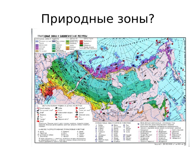 Природные зоны? 