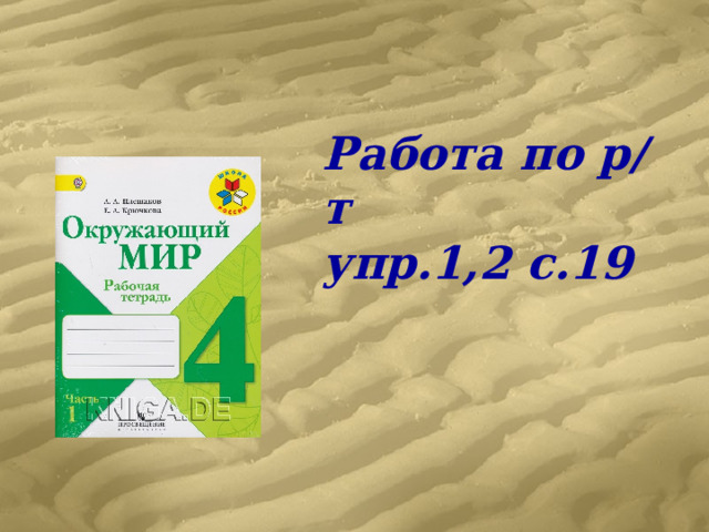 Работа по р/т  упр.1,2 с.19 