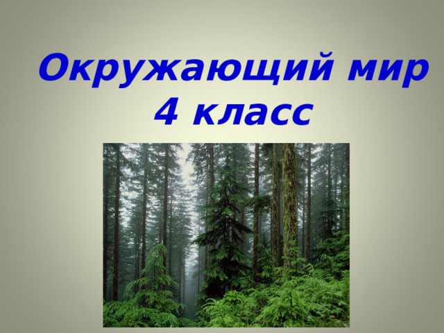 Окружающий мир 4 класс 