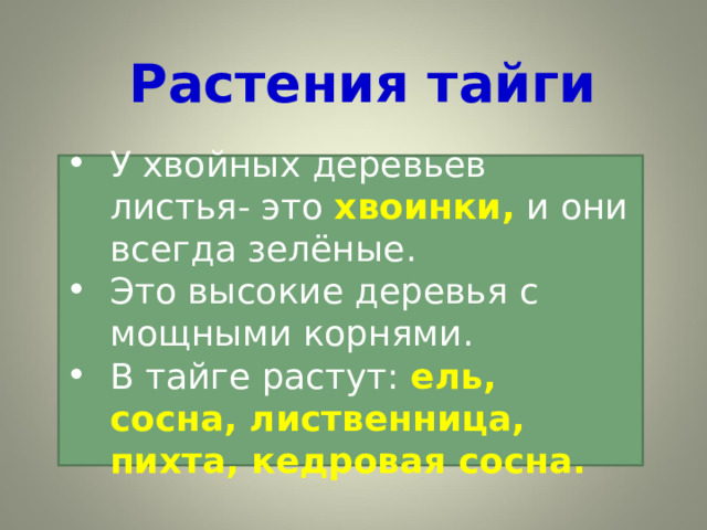 Растения тайги У хвойных деревьев листья- это хвоинки,  и они всегда зелёные. Это высокие деревья с мощными корнями. В тайге растут: ель, сосна, лиственница, пихта, кедровая сосна. 