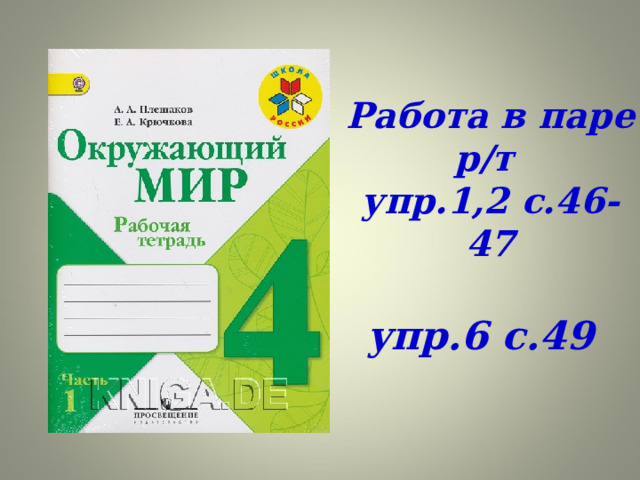 Работа в паре р/т  упр.1,2 с.46-47 упр.6 с.49 