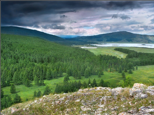 Тайга Это хвойный лес. Он занимает большую часть лесной зоны. 