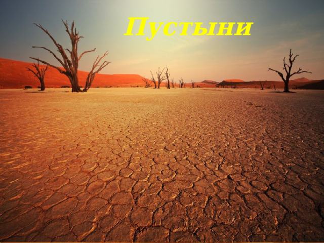 Пустыни 