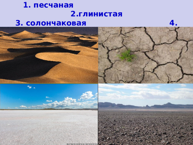Поверхность в пустыне:  1. песчаная 2.глинистая  3. солончаковая 4. каменистая 