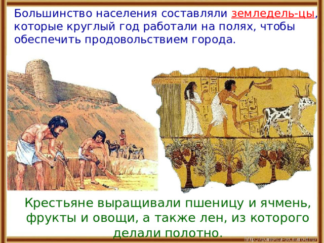  Большинство населения составляли земледель-цы , которые круглый год работали на полях, чтобы обеспечить продовольствием города.  Крестьяне выращивали пшеницу и ячмень, фрукты и овощи, а также лен, из которого делали полотно. 
